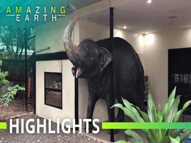 Amazing Earth