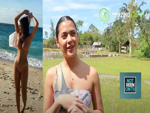 Amazing Earth Online Exclusive