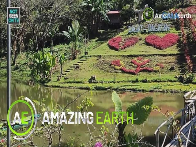 Amazing Earth Online Exclusive