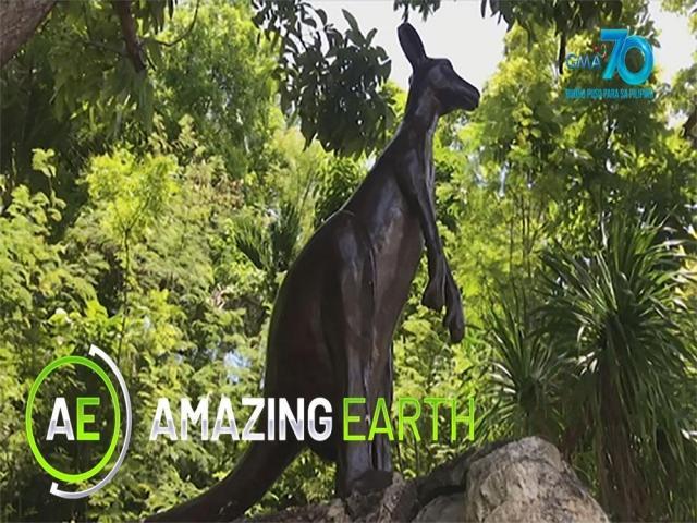 Amazing Earth