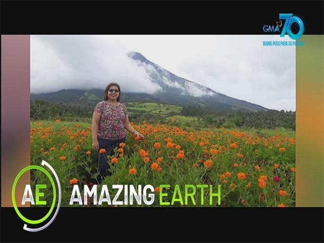 Amazing Earth