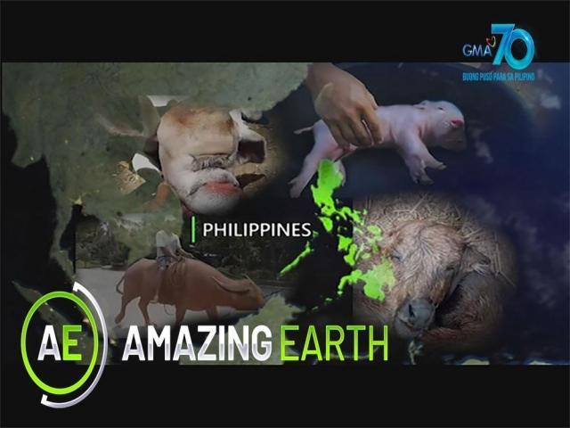 Amazing Earth