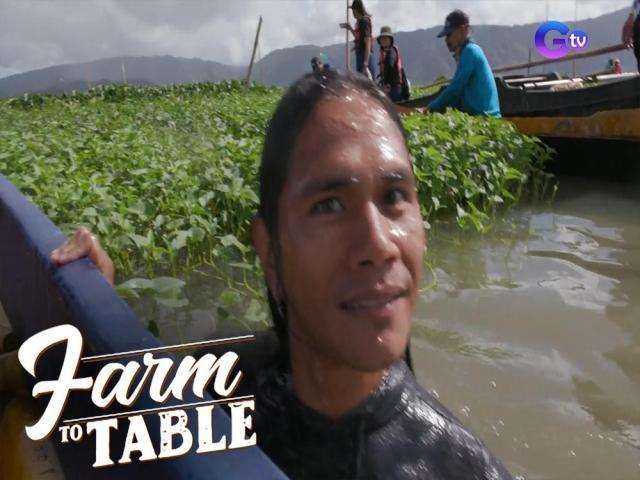 Farm To Table