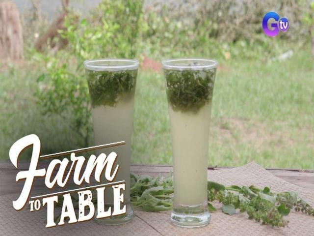 Farm To Table