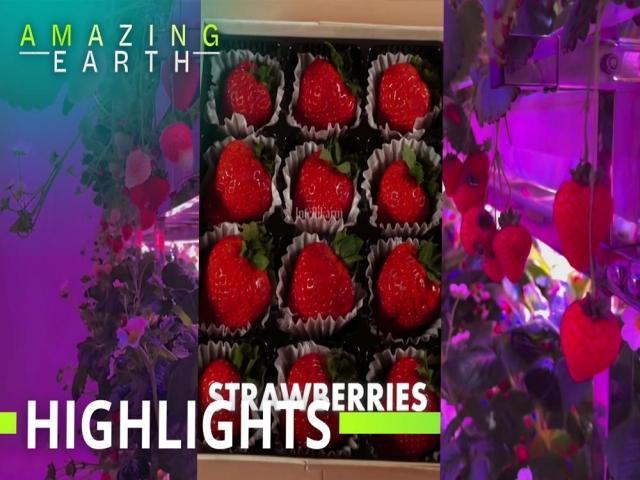 Amazing Earth