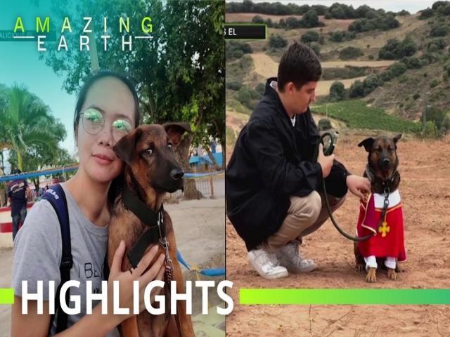 Amazing Earth