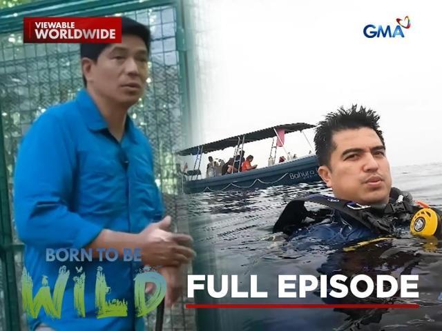 Born to be Wild Full Episode