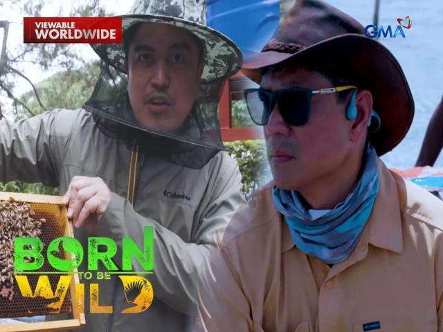 Born to Be Wild Full Episode