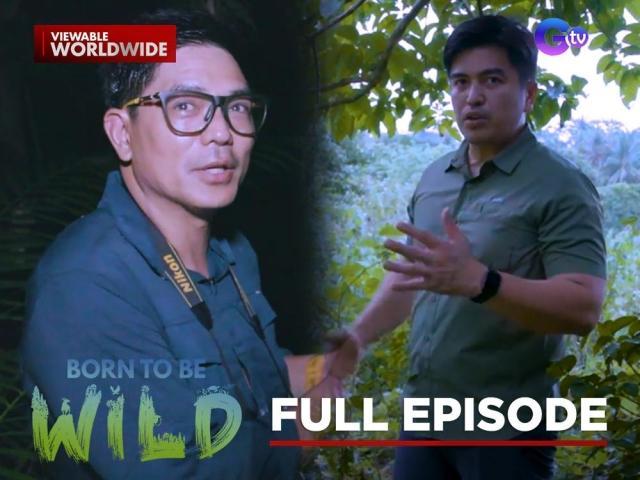 Born to be Wild Full Episode
