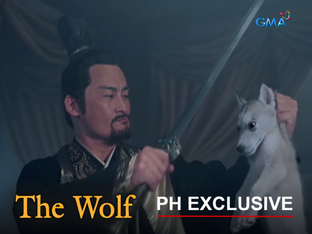 The Wolf