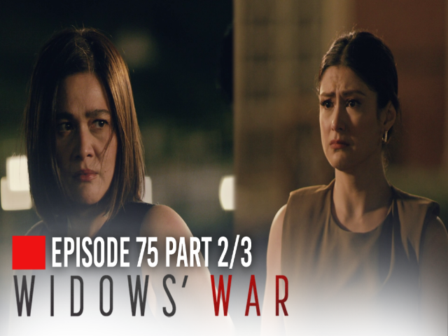 Widows War