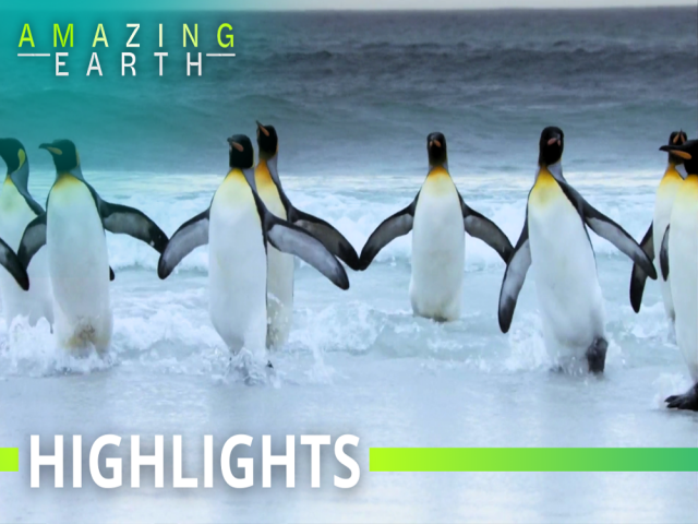 Amazing Earth
