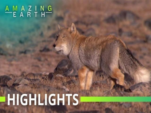 Amazing Earth