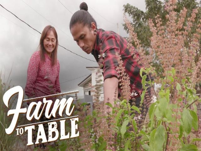 Farm To Table