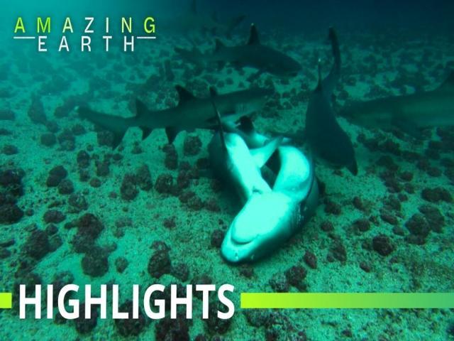 Amazing Earth