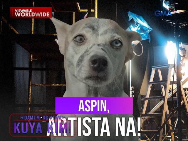 Dami Mong Alam, Kuya Kim!