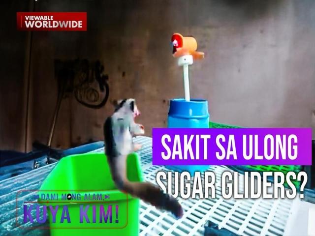 Dami Mong Alam, Kuya Kim!