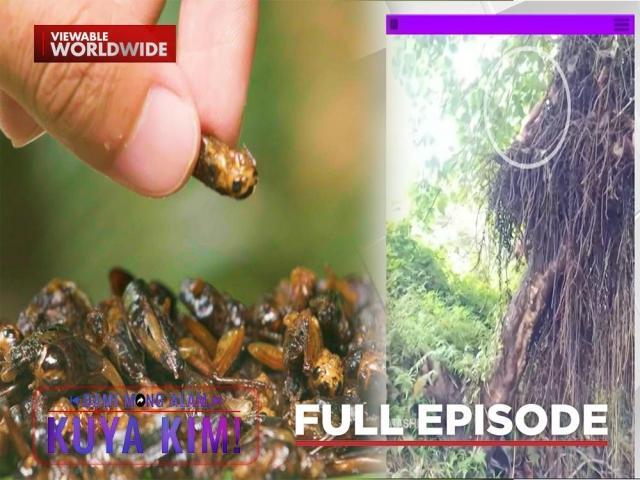 Dami Mong Alam, Kuya Kim!