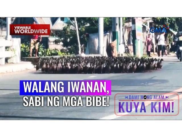 Dami Mong Alam, Kuya Kim!