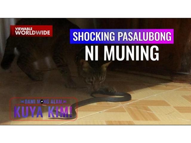 Dami Mong Alam, Kuya Kim! 