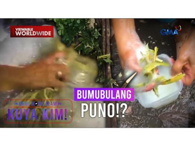 Dami Mong Alam, Kuya Kim!