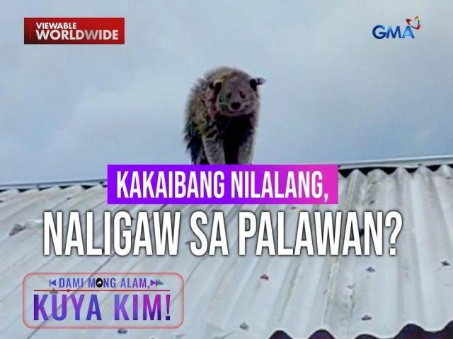 Dami Mong Alam, Kuya Kim