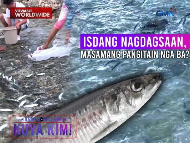 Dami Mong Alam, Kuya Kim!