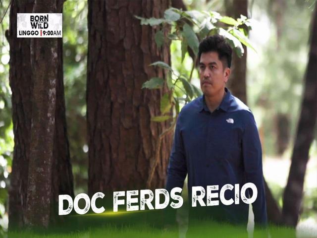 Doc Ferds Recio