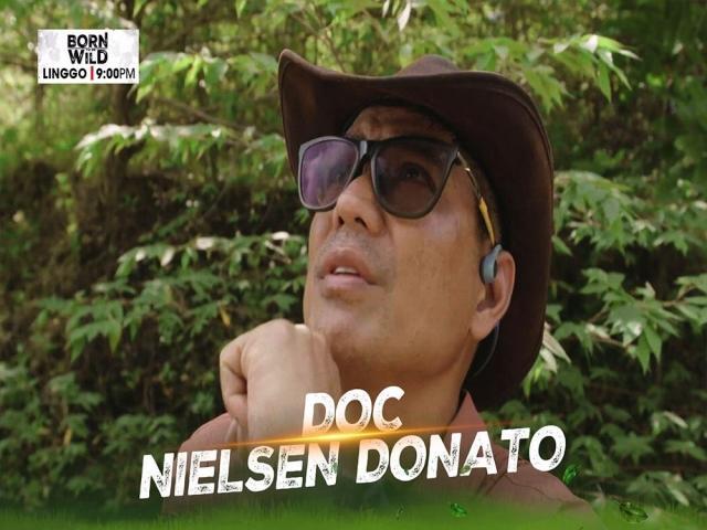Doc Nielsen Donato 