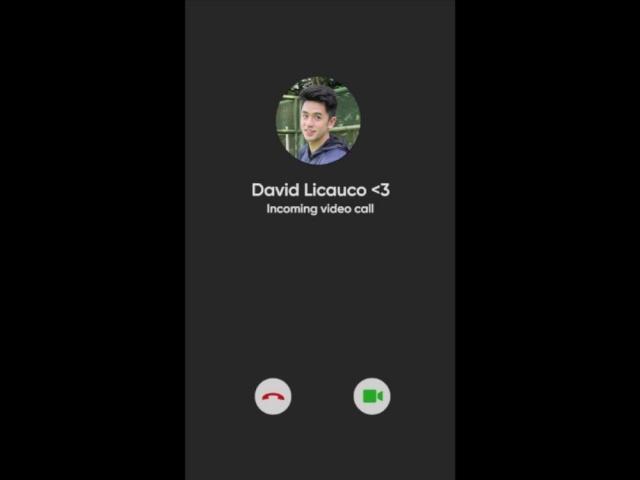 David Licauco Kapuso Profiles