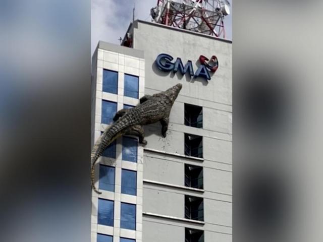 Lolong: Bayani ng Bayan