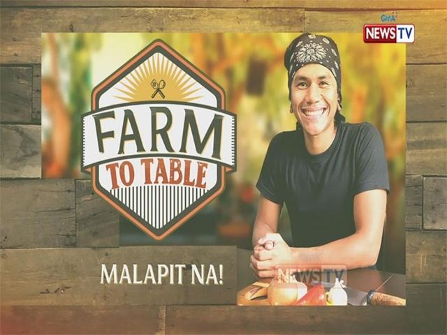 Farm on TV