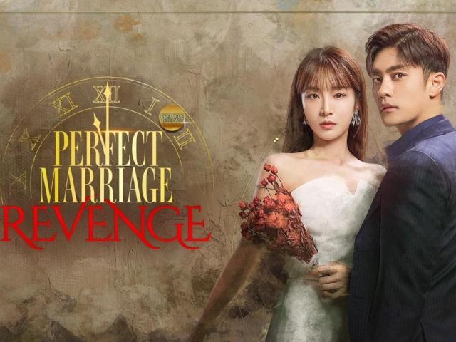 Perfect Marriage Revenge