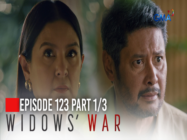 Widows' War