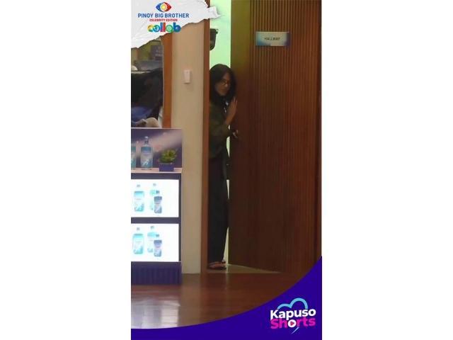 Pinoy Big Brother Collab