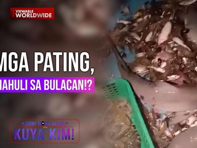 Dami Mong Alam, Kuya Kim!