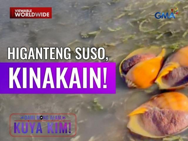 Dami Mong Alam, Kuya Kim!