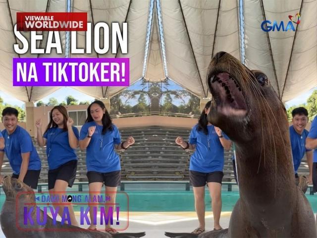 Dami Mong Alam, Kuya Kim!