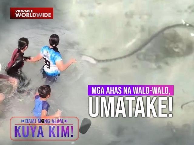 Dami Mong Alam, Kuya Kim!