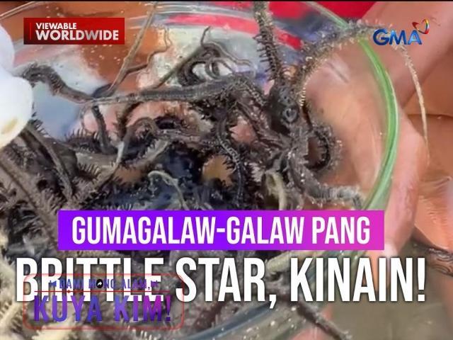 Dami Mong Alam, Kuya Kim!