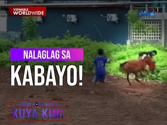 Dami Mong Alam, Kuya Kim!