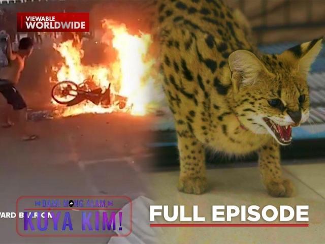 Dami Mong Alam, Kuya Kim