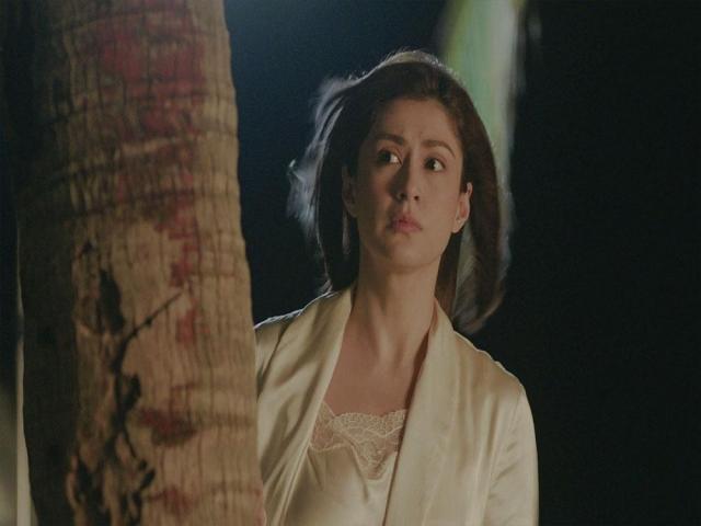 Widows War, Carla Abellana 
