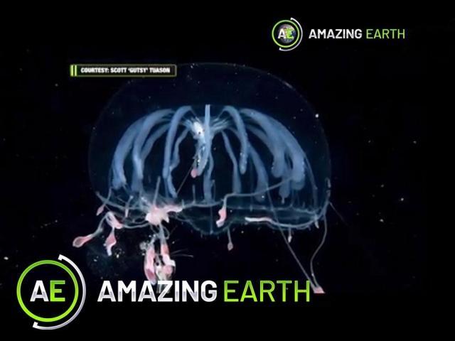 Amazing Earth