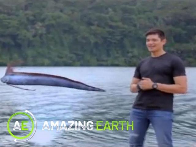 Amazing Earth