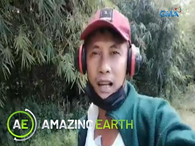 Amazing Earth
