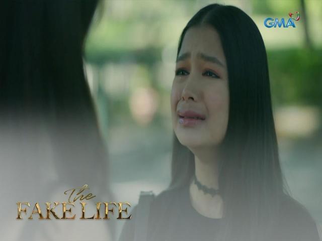 The Fake Life