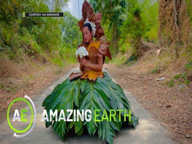 Amazing Earth