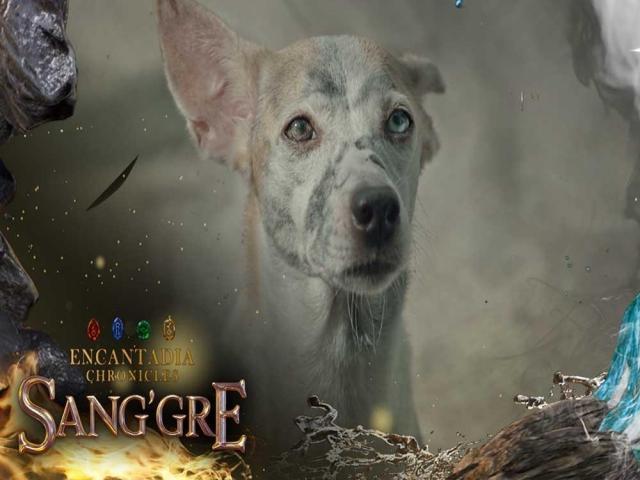 Encantadia Chronicles