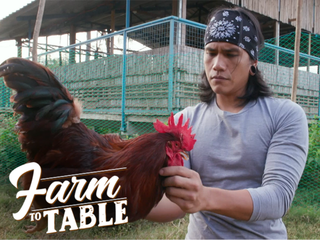 Farm To Table